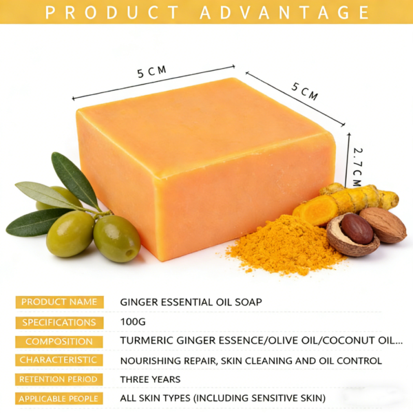 Wholesale Handmade Soap Bar | Goat Milk, Silk, Turmeric, Ginger, Coffee, Sea Salt & Sea Mud | Natural Body & Face Soap (Choose Variant)