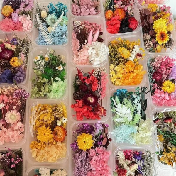 Mixed Preserved Dried Flower Box Set | Stabilized Multicolor Natural Flowers for DIY Resin Art, Crafts & Decoration | Bulk Floral Material Kit