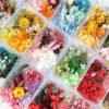 Mixed Preserved Dried Flower Box Set | Stabilized Multicolor Natural Flowers for DIY Resin Art, Crafts & Decoration | Bulk Floral Material Kit
