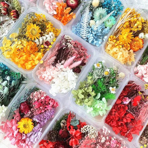 Mixed Preserved Dried Flower Box Set | Stabilized Multicolor Natural Flowers for DIY Resin Art, Crafts & Decoration | Bulk Floral Material Kit