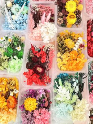 H75889111d9ed4d2bb30f6b9732f34d97O.jpg Mixed Preserved Dried Flower Box Set | Stabilized Multicolor Natural Flowers for DIY Resin Art, Crafts & Decoration | Bulk Floral Material Kit