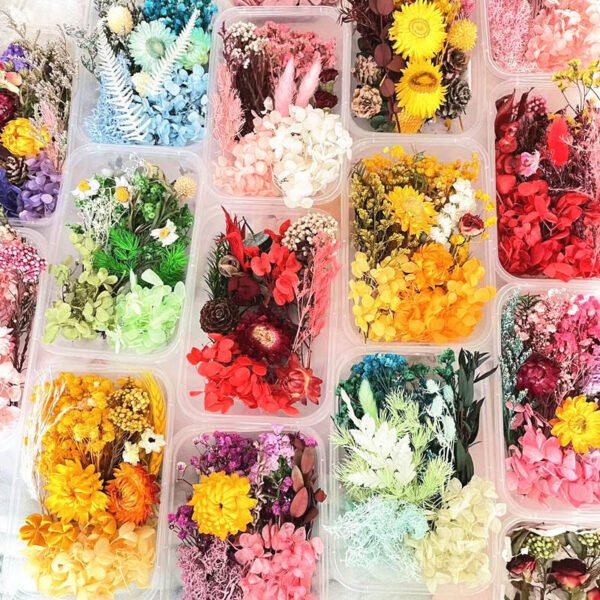 Mixed Preserved Dried Flower Box Set | Stabilized Multicolor Natural Flowers for DIY Resin Art, Crafts & Decoration | Bulk Floral Material Kit