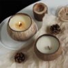Wholesale Private Label Coconut Shell Candle | Organic Soy Wax Aromatherapy Scented Candle | Essential Oil Natural Home Fragrance
