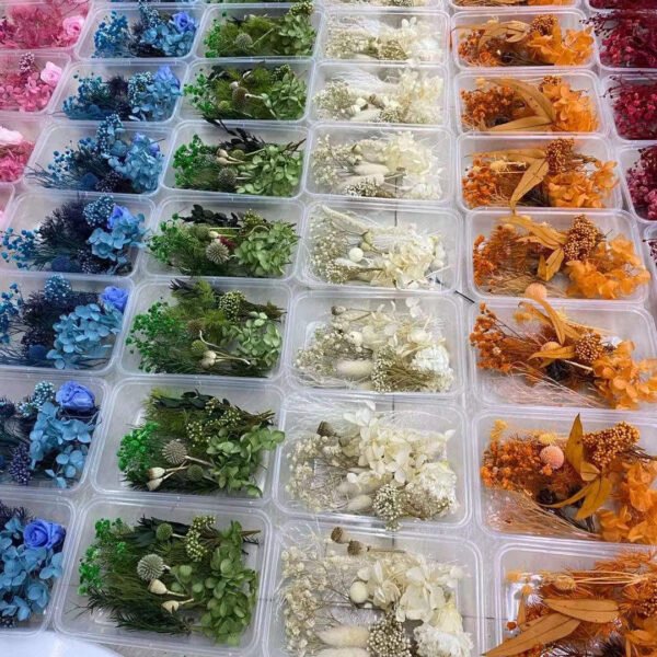 Mixed Preserved Dried Flower Box Set | Stabilized Multicolor Natural Flowers for DIY Resin Art, Crafts & Decoration | Bulk Floral Material Kit