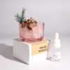 Expanding Non-Fire Aromatherapy Crystal Stone Diffuser | Air Freshener Home Decor Pot with Dried Flower | Natural Fragrance Stone Set