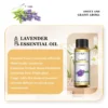 Myrrh Essential Oil | Pure Natural Aromatherapy Oil | Frankincense Family Resin Oil for Skin Care, Diffuser & Wellness