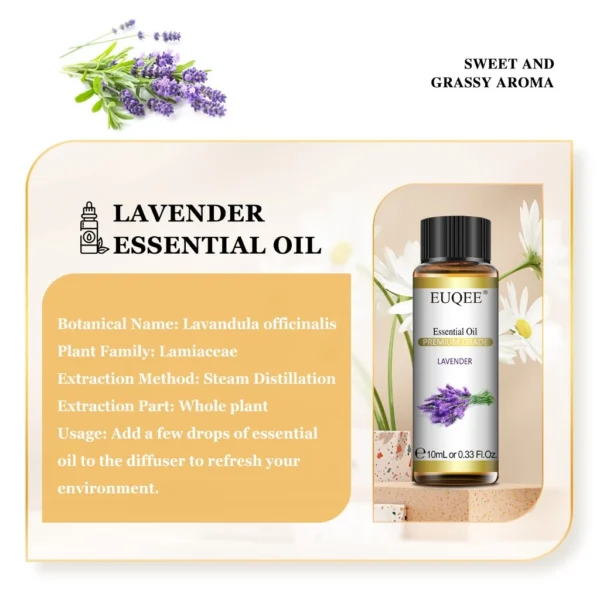 Myrrh Essential Oil | Pure Natural Aromatherapy Oil | Frankincense Family Resin Oil for Skin Care, Diffuser & Wellness