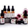Original Eyun Humidifier Aroma Oil 10ml | Water-Based Fragrance Oil for Diffuser & Burner | Home Air Freshener