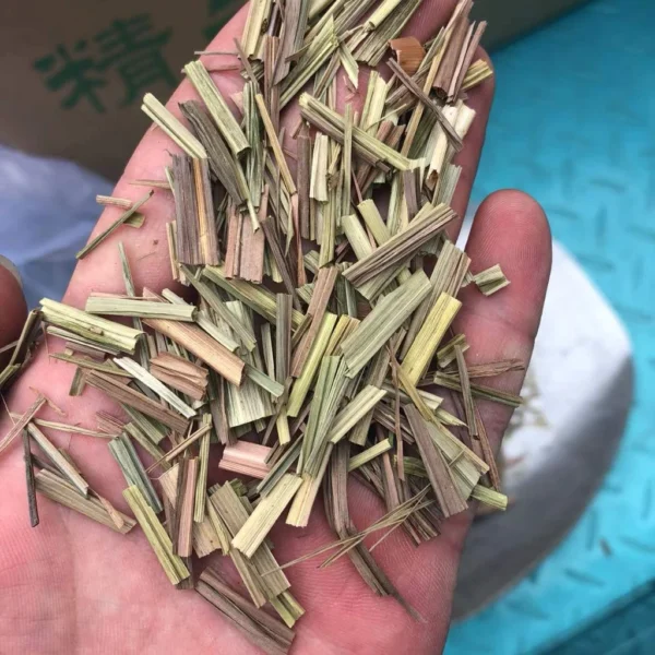 Natural Dried Lemongrass (Serai Kering Semula Jadi) | Herbal Aromatic Ingredient for Tea, Cooking & Home Use