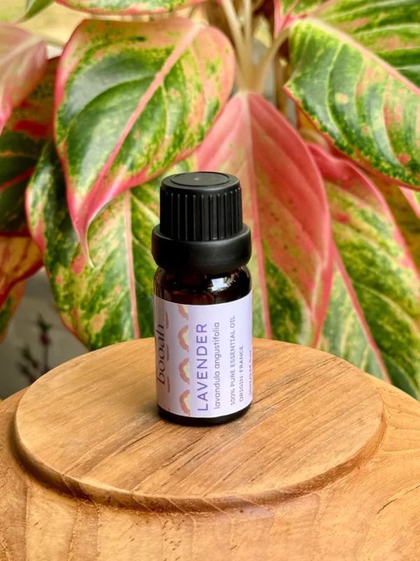 Lavender Essential Oil | Booah Essential Oil | Pure Aromatherapy Oil for Relaxation, Sleep & Diffuser Use