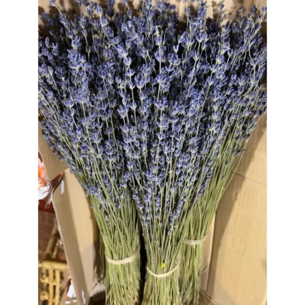 Imported English Lavender Dried Flower Bouquet 100g