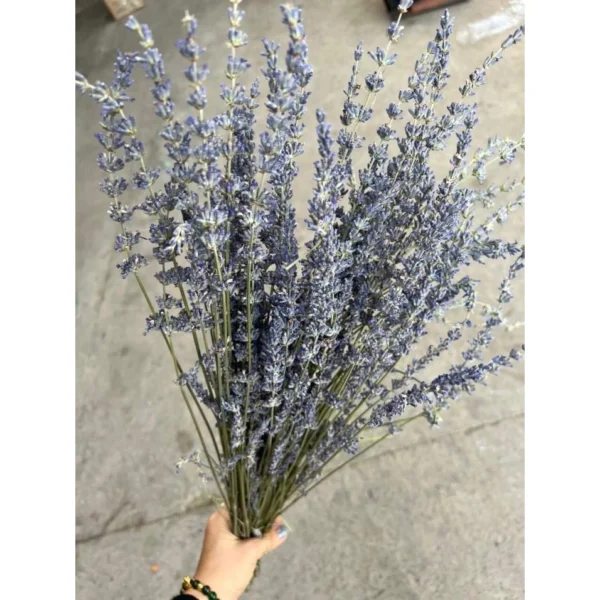 Imported English Lavender Dried Flower Bouquet 100g